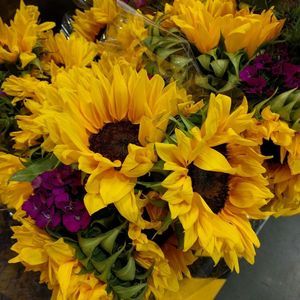 Meet your Posher, Lina